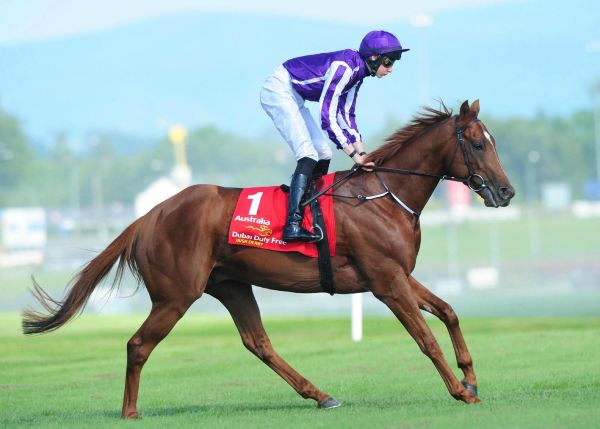 The Curragh Racecourse