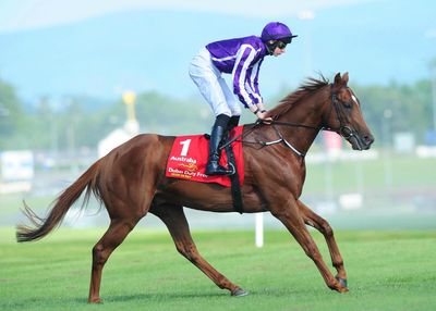 The Curragh Racecourse