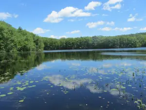 Moore State Park