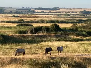 Holme Dunes National Nature Reserve
