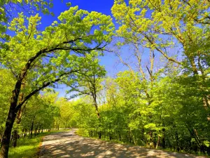 Springbrook State Park