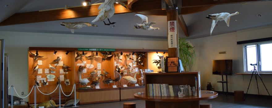 Hamatonbetsu