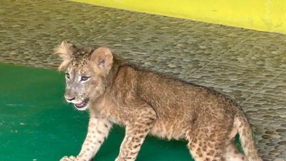 Zoologico de Vallarta