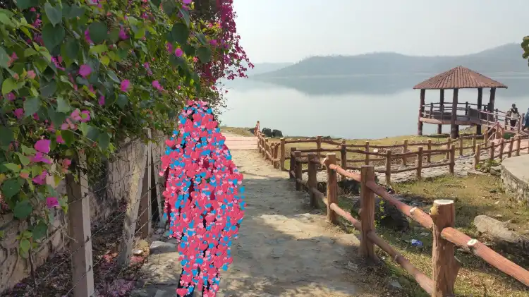 Hotels near PitaMahal Dam