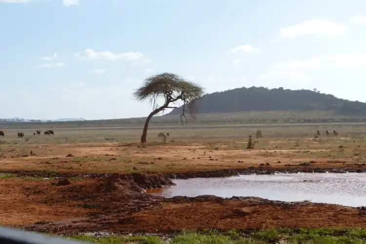 Hotels near Thomas Tours & Safaris - Private Day Tours