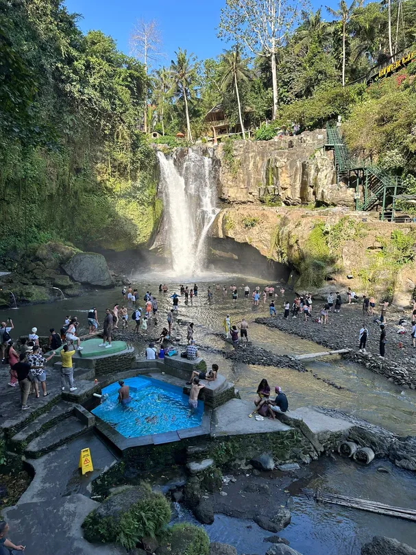 4_森林瀑布觀景