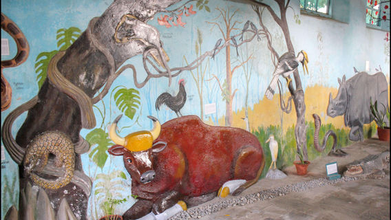 Annapurna Butterfly Museum