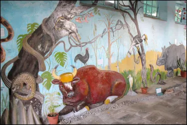 Annapurna Butterfly Museum