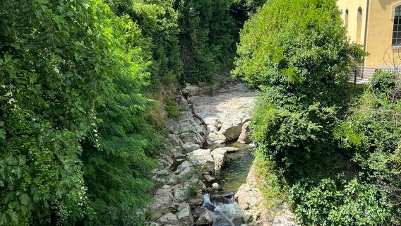 Provincia de Arezzo