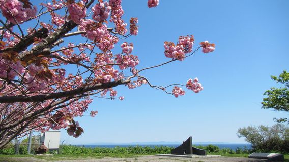 Tunnel Memorial Park