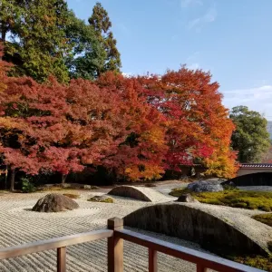 実相院