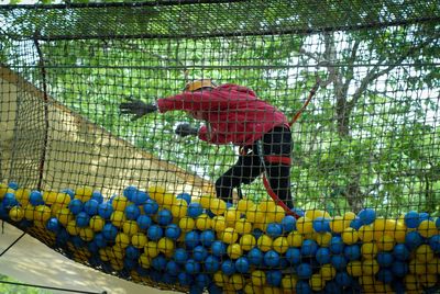 Foret Adrenaline