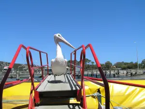 Kalgan Queen Scenic Cruises