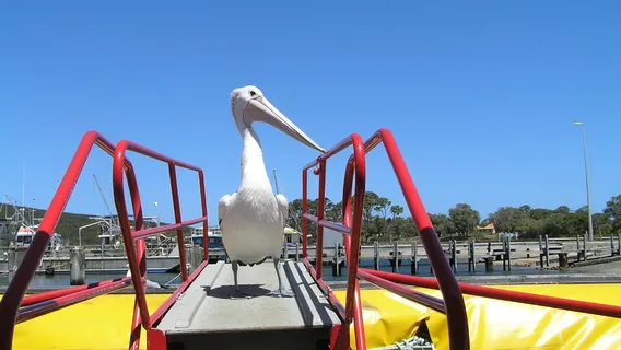 Albany River boat Tours Kalgan Queen Cruises