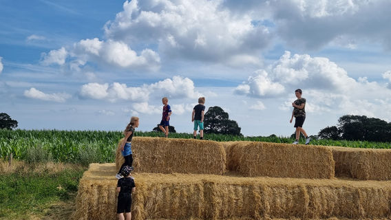 North Norfolk Wizard Maze and Play