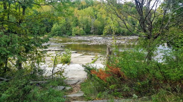 Vanderwater Conservation Area