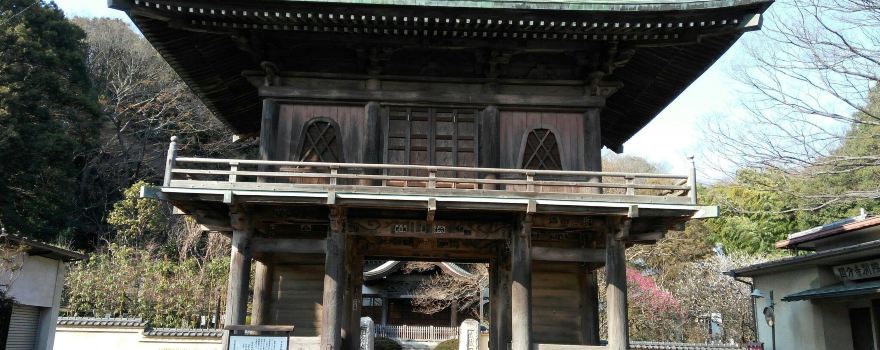 Musashi Kokubunji Park