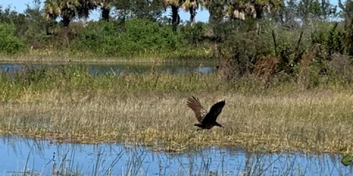Wellington Environmental Preserve
