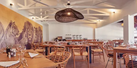 Lionsrock Big Cat Sanctuary