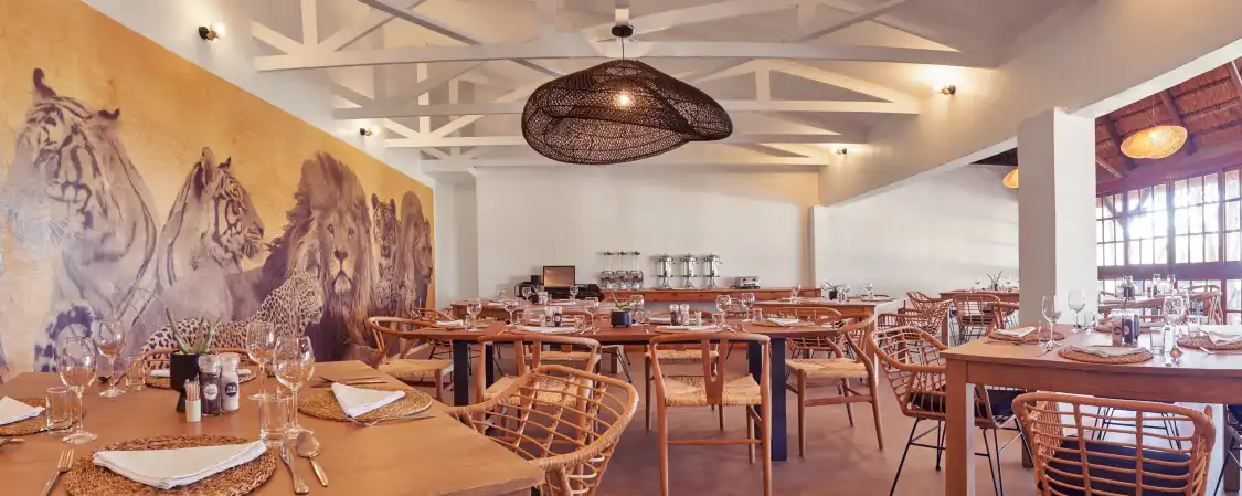 Hotel in zona Lionsrock Big Cat Sanctuary