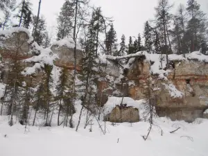 Pinezhsky Nature Reserve
