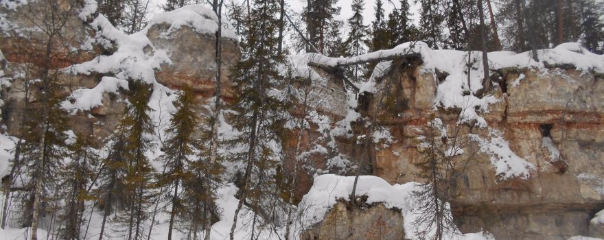 Pinezhsky Nature Reserve