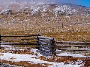 Whitetop Mountain