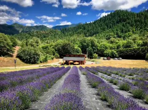 Hotels in Josephine County