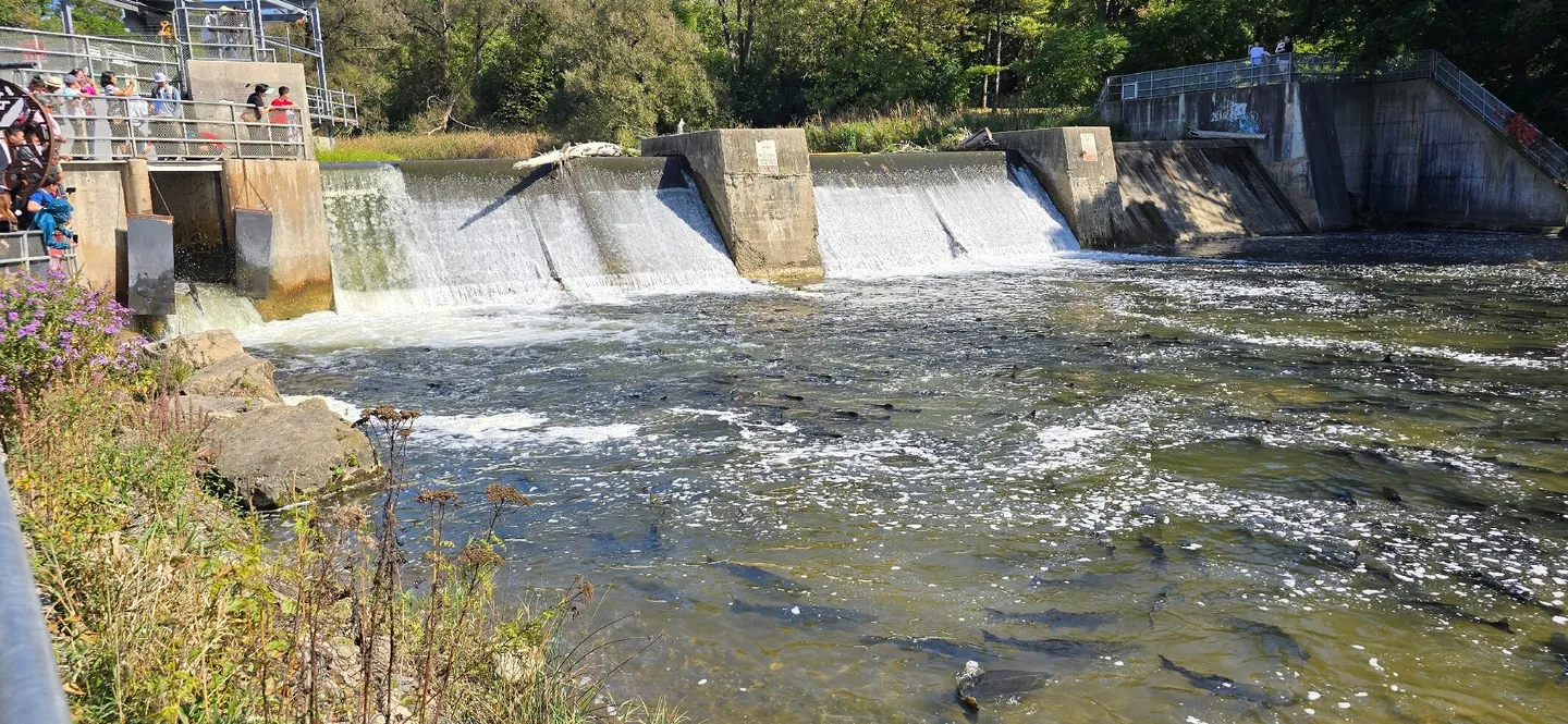 2_Port Hope Conservation Area