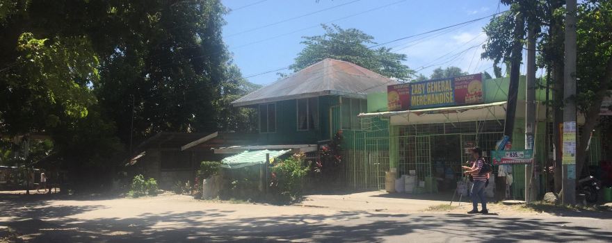 Negros Oriental Arts & Heritage-NOAH