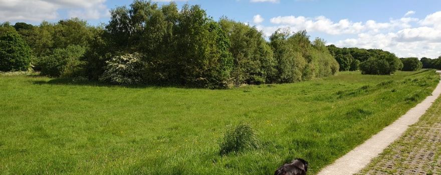Lilford Park