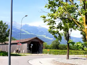 Alte Rheinbrucke
