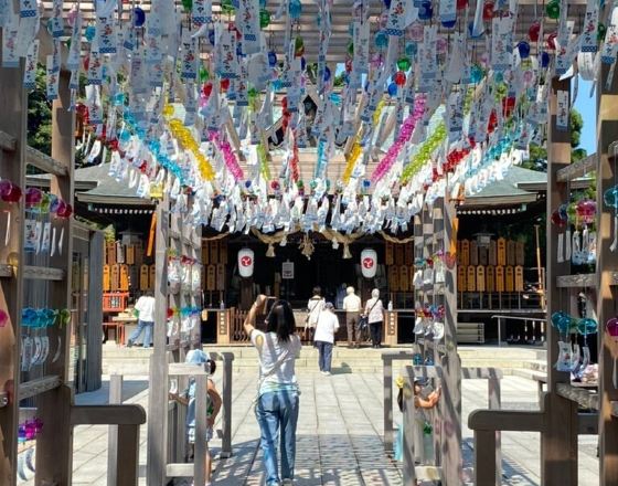 宇部 自由行套票