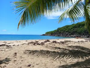 Plage de Petite Anse