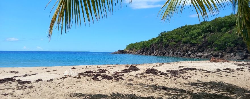 Plage de Petite Anse