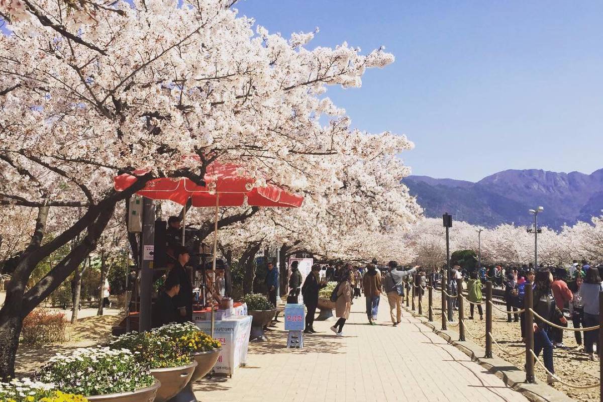 韓国の祭りであると便利なアイテム