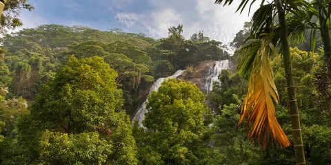 Hunnasgiriya Water Fall