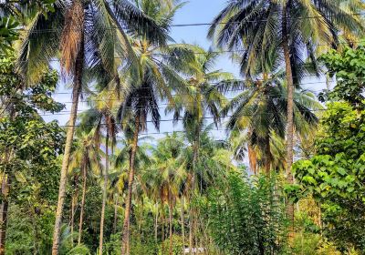 Kozhikode