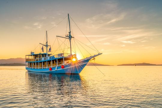 Komodo Trekker