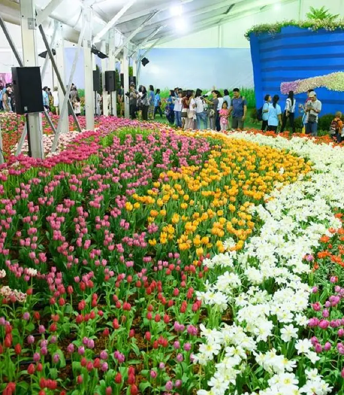 Nikhom Phatthana