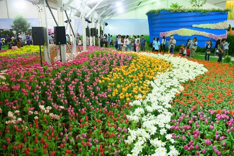 Hotels in Nikhom Phatthana