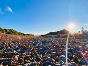 Wairau Lagoons Walkway