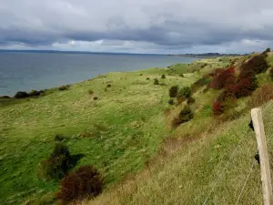 Voderup Klint