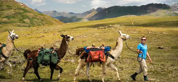 Hotels in Silverton