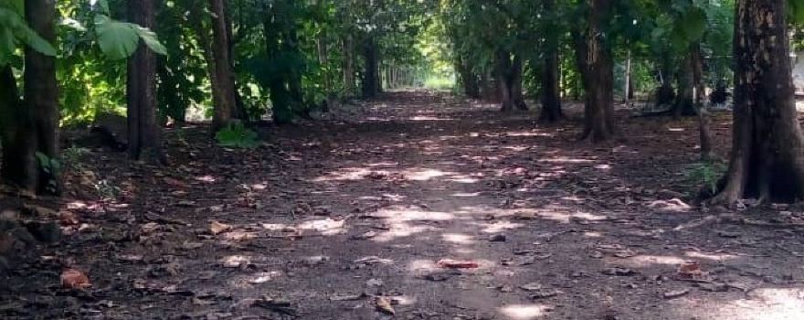 Adaklu-Anyigbe