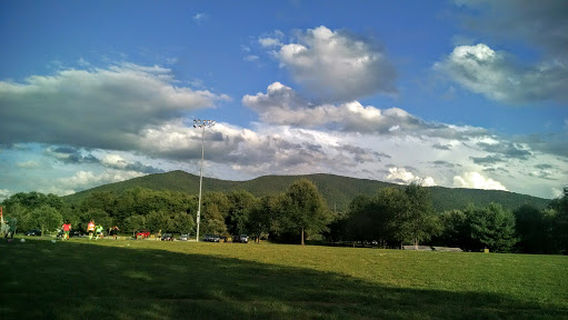 Hollins Park