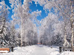Zvozdnyy