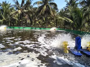 Pantai TAMAN Ngadirojo Pacitan