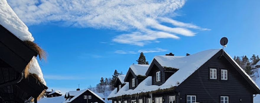Bortelid Ski