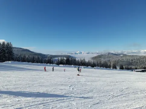 Winklmoosalm - Reit im Winkl